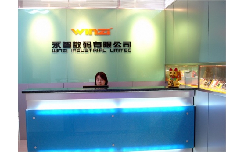 公司組織結構圖，深圳市模具廠的最初結構