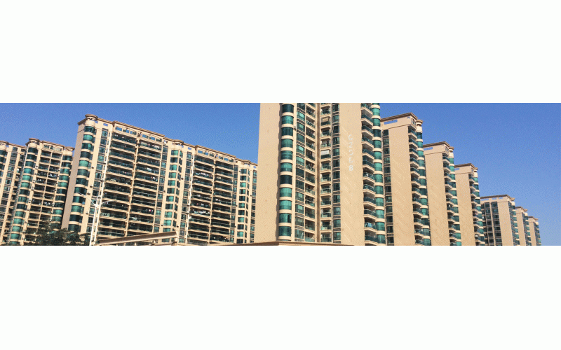 深圳的冬天終于來了，2015